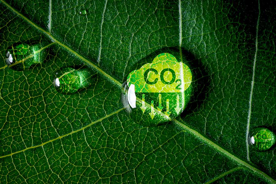 Lecta continue de progresser vers la décarbonation